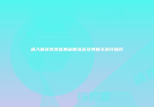 深入解读铁观音典藏精选茶及其相关茶叶知识