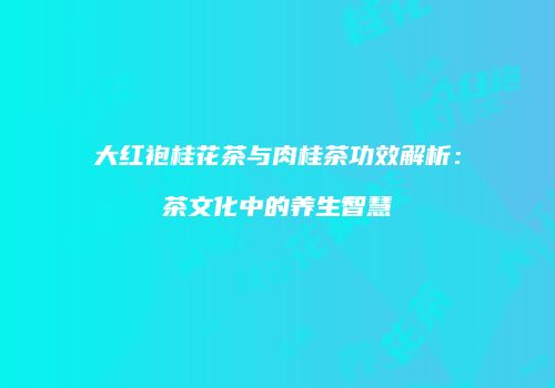 大红袍桂花茶与肉桂茶功效解析：茶文化中的养生智慧