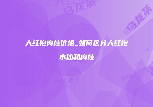 大红袍肉桂价格_如何区分大红袍水仙和肉桂