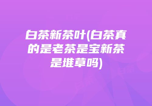 白茶新茶叶(白茶真的是老茶是宝新茶是堆草吗)