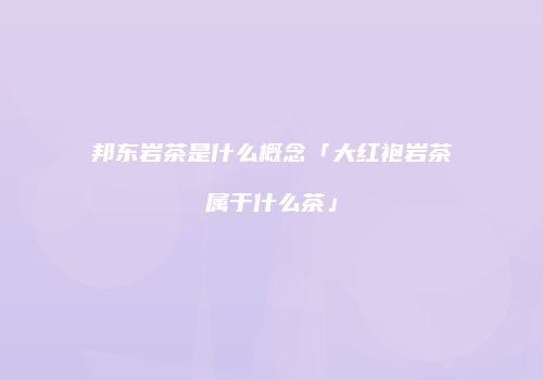 邦东岩茶是什么概念「大红袍岩茶属于什么茶」