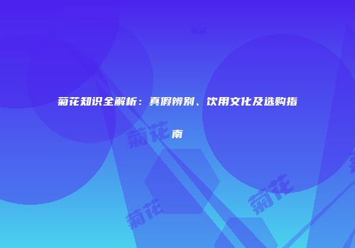 菊花知识全解析：真假辨别、饮用文化及选购指南