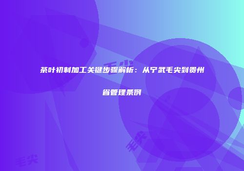 茶叶初制加工关键步骤解析：从宁武毛尖到贵州省管理条例