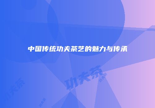 中国传统功夫茶艺的魅力与传承