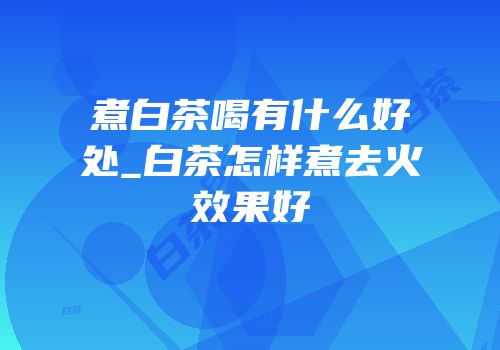 煮白茶喝有什么好处_白茶怎样煮去火效果好