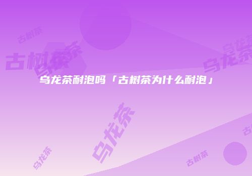 乌龙茶耐泡吗「古树茶为什么耐泡」