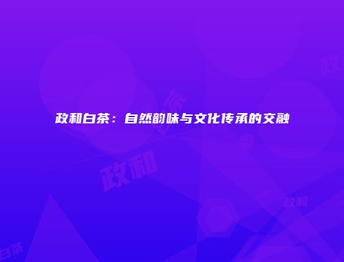 政和白茶：自然韵味与文化传承的交融