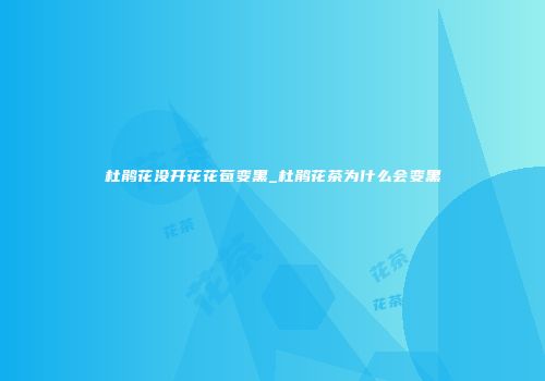杜鹃花没开花花苞变黑_杜鹃花茶为什么会变黑