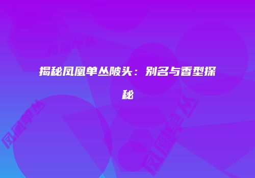 揭秘凤凰单丛陂头：别名与香型探秘