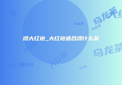 沏大红袍_大红袍适合沏什么茶