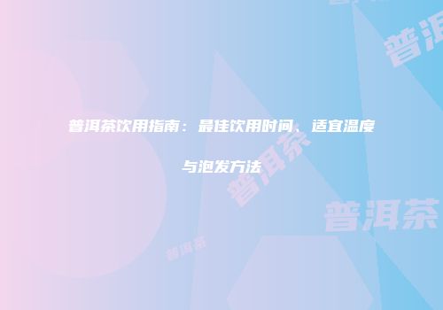 普洱茶饮用指南：最佳饮用时间、适宜温度与泡发方法