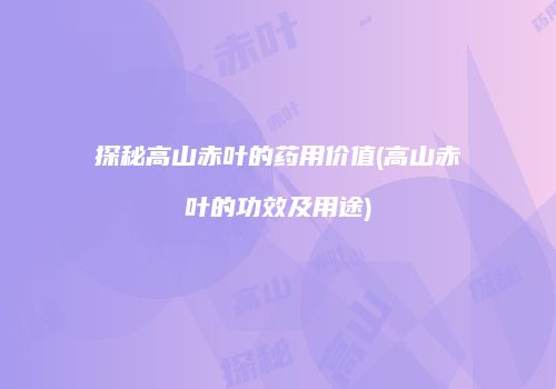 探秘高山赤叶的药用价值(高山赤叶的功效及用途)