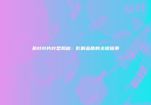 茶叶叶片叶型揭秘：影响品质的关键因素
