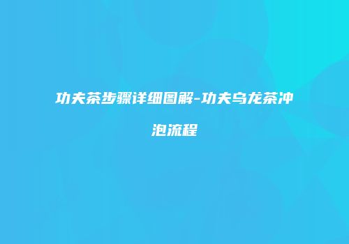 功夫茶步骤详细图解-功夫乌龙茶冲泡流程