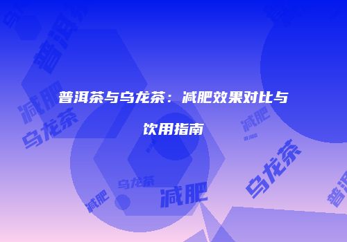 普洱茶与乌龙茶：减肥效果对比与饮用指南