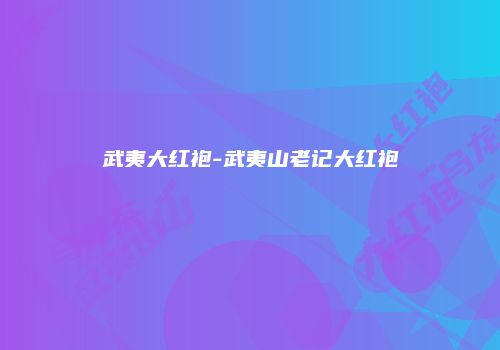 武夷大红袍-武夷山老记大红袍