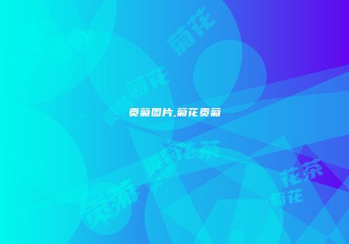 贡菊图片,菊花贡菊