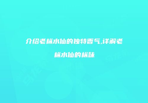 介绍老枞水仙的独特香气,详解老枞水仙的枞味