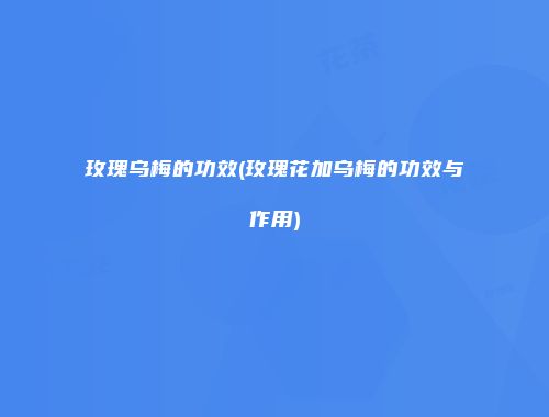 玫瑰乌梅的功效(玫瑰花加乌梅的功效与作用)