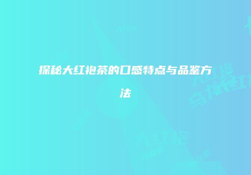 探秘大红袍茶的口感特点与品鉴方法