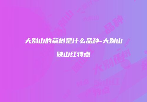 大别山的茶树是什么品种-大别山映山红特点