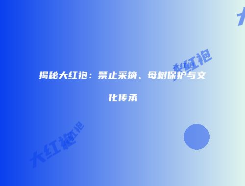 揭秘大红袍：禁止采摘、母树保护与文化传承