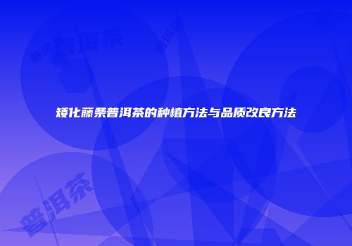 矮化藤条普洱茶的种植方法与品质改良方法