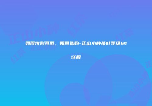 如何辨别真假，如何选购-正山小种茶叶等级M1详解