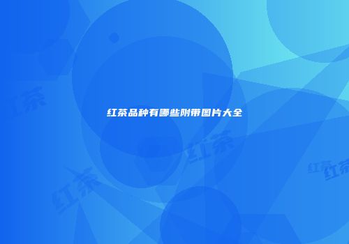 红茶品种有哪些附带图片大全