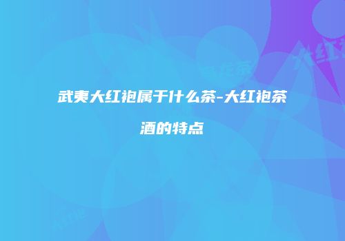 武夷大红袍属于什么茶-大红袍茶酒的特点