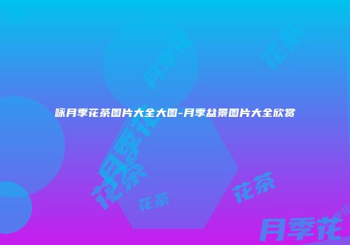 咏月季花茶图片大全大图-月季盆景图片大全欣赏