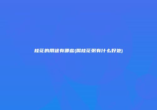 桂花的用途有哪些(喝桂花粥有什么好处)