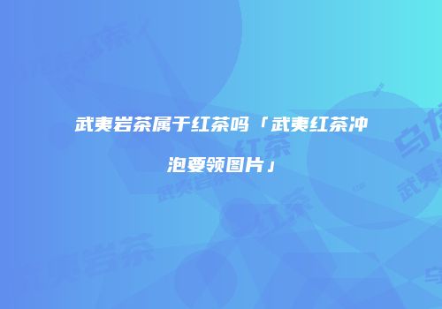 武夷岩茶属于红茶吗「武夷红茶冲泡要领图片」