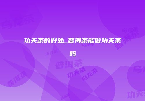功夫茶的好处_普洱茶能做功夫茶吗