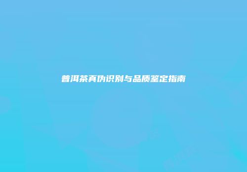 普洱茶真伪识别与品质鉴定指南