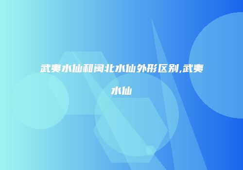 武夷水仙和闽北水仙外形区别,武夷水仙