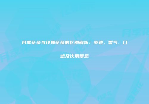 月季花茶与玫瑰花茶的区别解析：外观、香气、口感及饮用禁忌