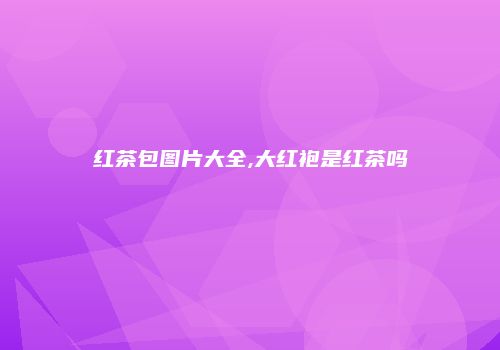 红茶包图片大全,大红袍是红茶吗