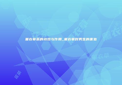 薰衣草茶的功效与作用_薰衣草对男生的害处