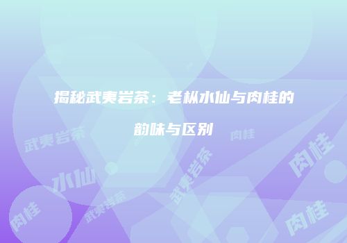 揭秘武夷岩茶：老枞水仙与肉桂的韵味与区别