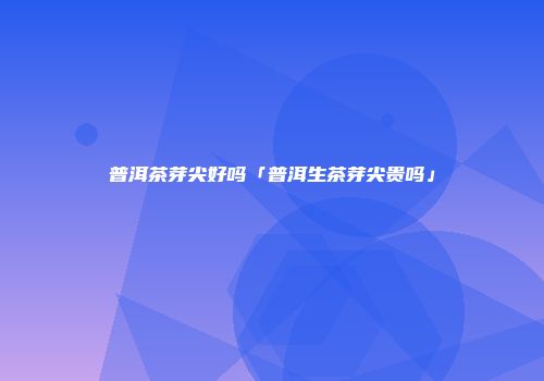 普洱茶芽尖好吗「普洱生茶芽尖贵吗」