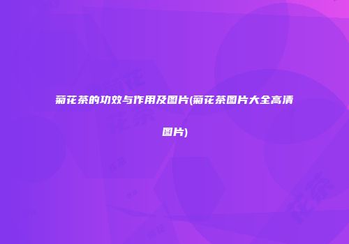 菊花茶的功效与作用及图片(菊花茶图片大全高清图片)