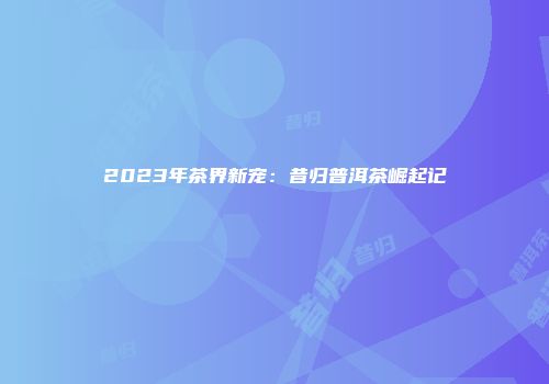 2023年茶界新宠：昔归普洱茶崛起记