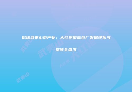 揭秘武夷山茶产业：大红袍国营茶厂发展现状与茶博会盛况