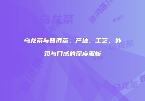 乌龙茶与普洱茶：产地、工艺、外观与口感的深度解析