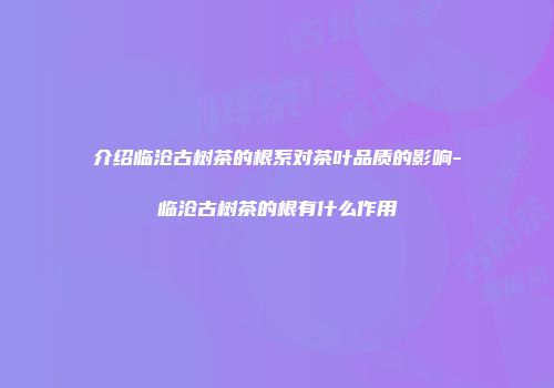 介绍临沧古树茶的根系对茶叶品质的影响-临沧古树茶的根有什么作用