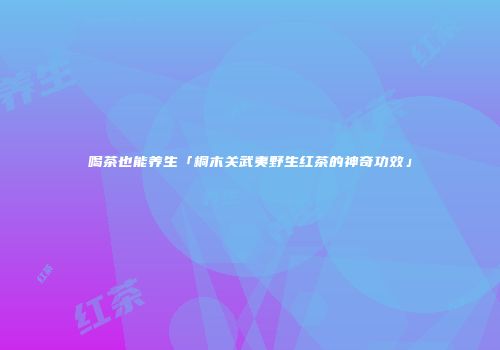喝茶也能养生「桐木关武夷野生红茶的神奇功效」