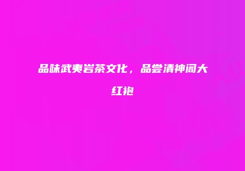 品味武夷岩茶文化，品尝清神阁大红袍
