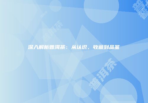 深入解析普洱茶：从认识、收藏到品鉴