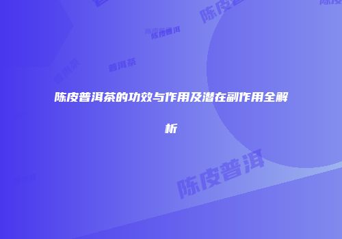 陈皮普洱茶的功效与作用及潜在副作用全解析